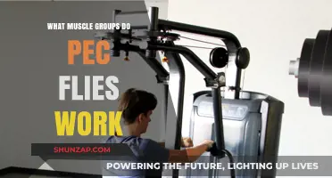 Pec Flies: Targeted Muscle Groups and Workout Benefits Explained