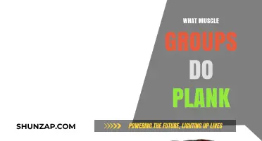 Plank Power: Unlocking Core, Shoulders, Quads, and Glute Strength