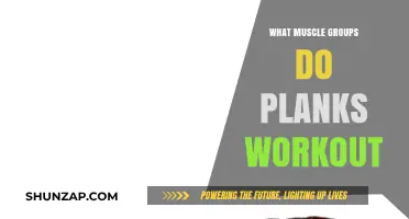 Plank Power: Unlocking Core, Shoulders, Quads, and Glute Strength