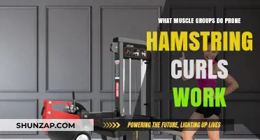 Prone Hamstring Curls: Targeted Muscle Groups and Benefits Explained
