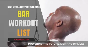 Pull Down Bar Workouts: Targeted Muscle Groups and Exercise List