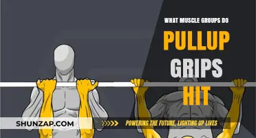 Pull-Up Grips: Targeted Muscle Groups and Benefits Explained