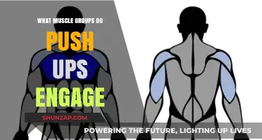 Push-Ups Unveiled: Targeted Muscle Groups for Strength and Tone