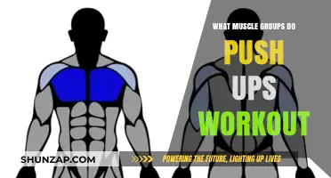 Push-Ups: Targeted Muscle Groups for Strength and Toning