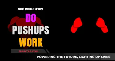 Pushups: Unlocking Strength in Chest, Shoulders, Triceps, and Core