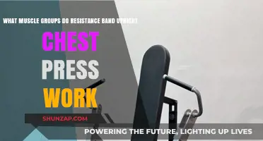 Resistance Band Upright Chest Press: Targeted Muscle Groups Explained