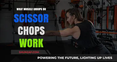Scissor Chops: Targeted Muscle Groups and Fitness Benefits Explained