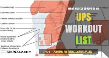 Sit-Ups Targeted Muscles: Core, Abs, and Beyond Explained