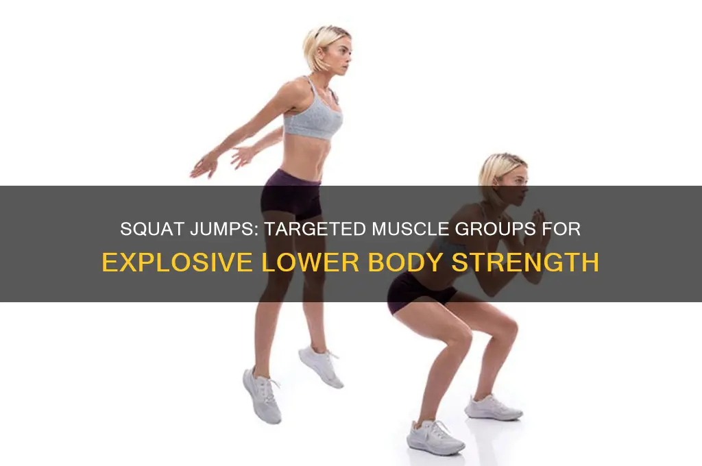 what muscle groups do squat jumps work