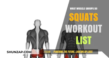 Squats Workout: Targeted Muscle Groups for Strength and Toning