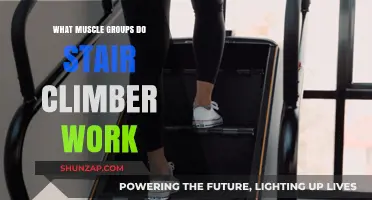 Stair Climber Workout: Targeted Muscle Groups and Benefits Explained