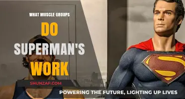 Superman's Workout: Targeting Core, Back, and Shoulder Muscles Effectively