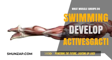 Swimming's Full-Body Benefits: Key Muscle Groups Developed in the Pool