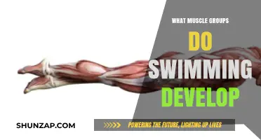 Swimming's Full-Body Benefits: Targeted Muscle Groups and Development