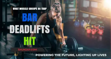 Trap Bar Deadlifts: Targeted Muscle Groups for Strength and Power