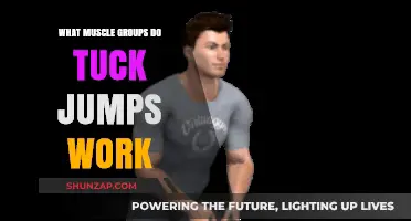 Tuck Jumps: Targeted Muscle Groups for Explosive Lower Body Strength