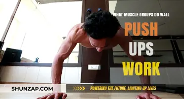 Wall Push Ups: Targeted Muscle Groups and Benefits Explained