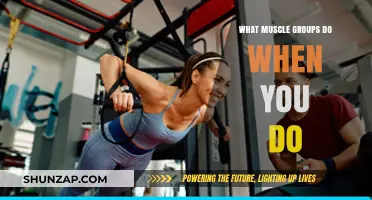 Unveiling the Muscle Groups Activated During Your Workout Routine