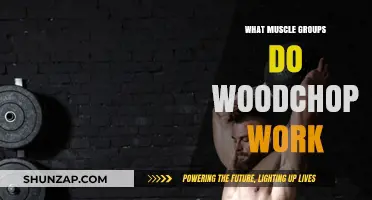 Woodchops Workout: Targeting Core, Obliques, and Back Muscles Effectively