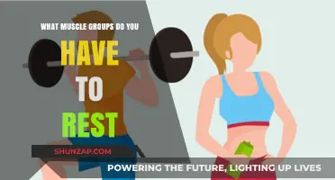 Muscle Recovery Guide: Which Groups Need Rest for Optimal Growth?