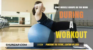 Maximize Your Workout: Targeting Key Muscle Groups for Optimal Results