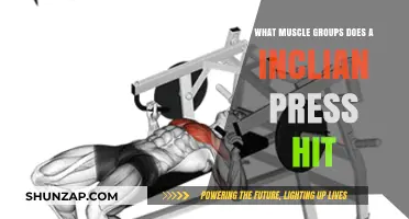 Incline Press Benefits: Targeted Muscle Groups for Upper Body Strength