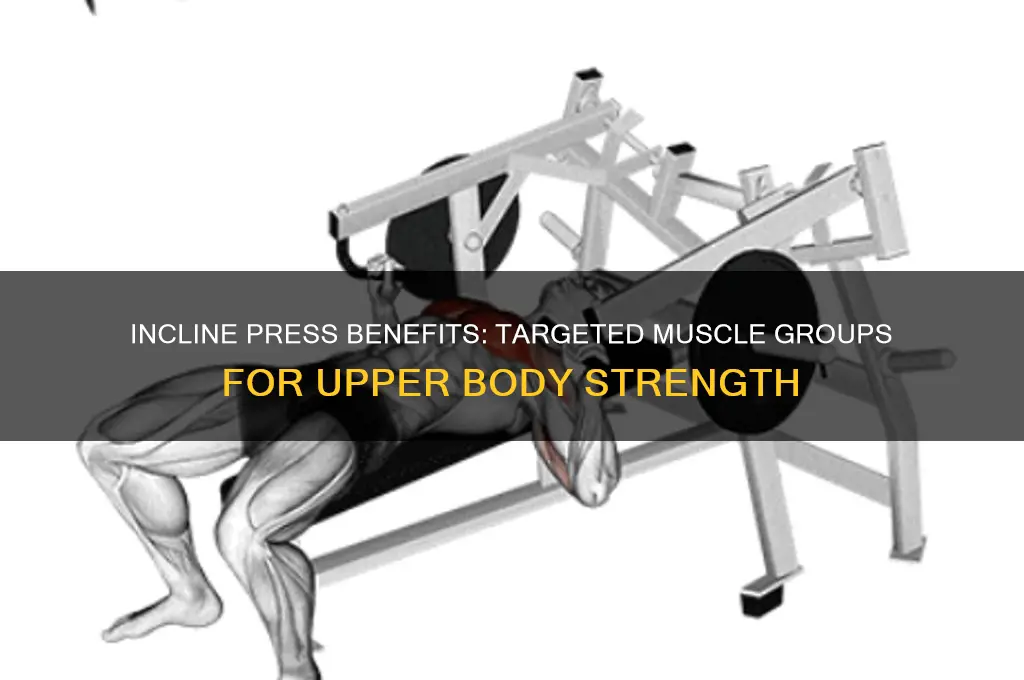 what muscle groups does a incline press hit