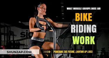 Air Bike Riding: Targeted Muscle Groups for Full-Body Fitness