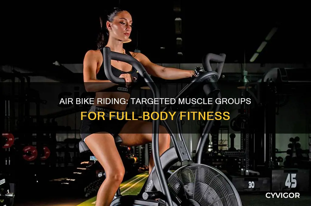 what muscle groups does air bike riding work