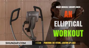 Elliptical Workouts: Targeting Full-Body Muscle Groups for Optimal Fitness