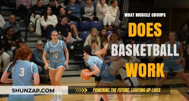 Basketball's Full-Body Benefits: Targeted Muscle Groups and Workout Insights