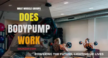 Bodypump Workout: Targeted Muscle Groups for Full-Body Strength Training