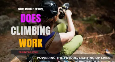 Climbing's Full-Body Benefits: Targeted Muscle Groups and Strength Gains