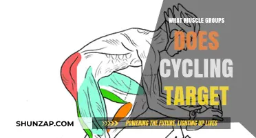 Cycling's Impact: Key Muscle Groups Strengthened and Toned