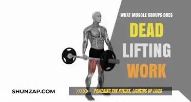Deadlifting Benefits: Targeted Muscle Groups for Strength and Power