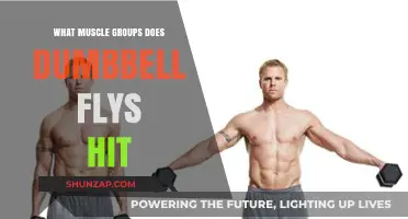 Dumbbell Flys: Targeted Muscle Groups for Chest and Shoulders