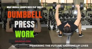 Flat Chest Dumbbell Press: Targeted Muscle Groups and Benefits