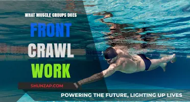 Front Crawl's Full-Body Benefits: Targeted Muscle Groups Explained