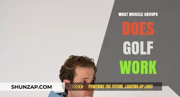 Golf's Surprising Full-Body Workout: Muscles You Never Knew It Targeted