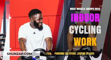 Indoor Cycling Benefits: Targeted Muscle Groups for a Full-Body Workout