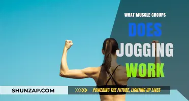 Jogging's Impact: Key Muscle Groups Engaged and Strengthened