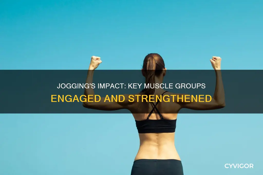 what muscle groups does jogging work