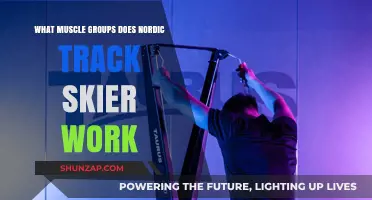 NordicTrack Skier: Targeted Muscle Groups for Full-Body Workouts