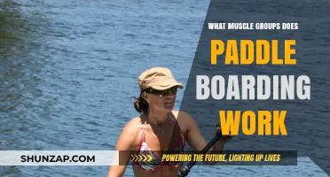 Paddle Boarding Benefits: Targeted Muscle Groups for Full-Body Fitness