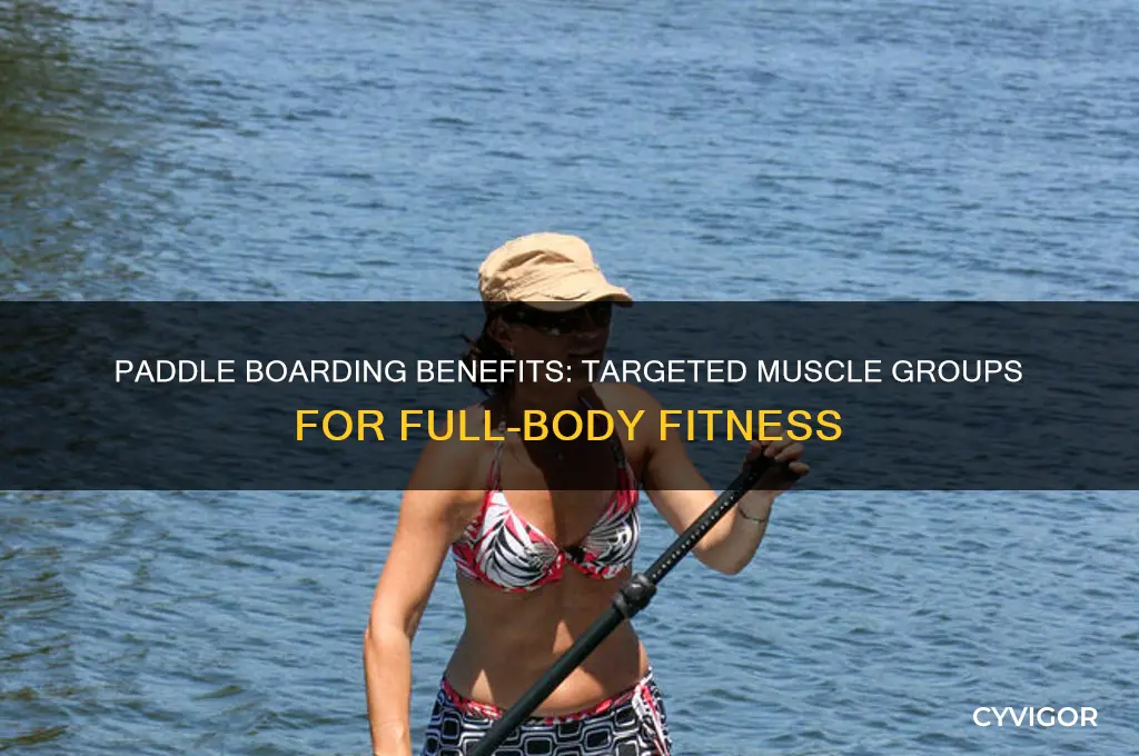 what muscle groups does paddle boarding work