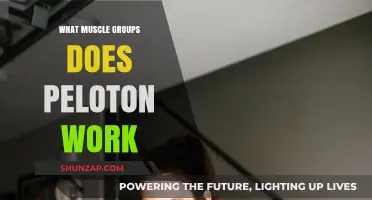 Peloton Workouts: Targeted Muscle Groups for Full-Body Fitness Results