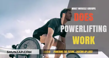 Powerlifting's Impact: Targeted Muscle Groups for Strength and Performance