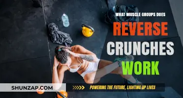 Reverse Crunches: Targeting Lower Abs, Hip Flexors, and Core Muscles