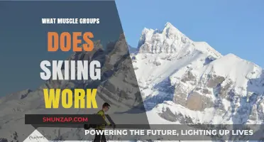 Skiing's Full-Body Workout: Targeted Muscle Groups and Benefits