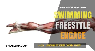 Freestyle Swimming: Unlocking Full-Body Strength and Muscle Engagement
